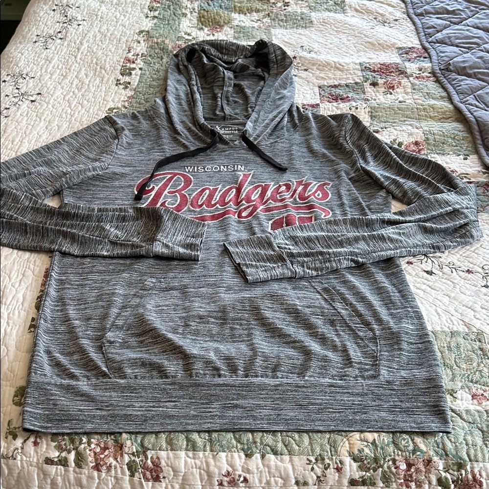 Gray Wisconsin Badgers Hoodie